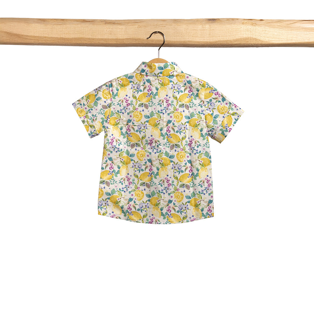 Camicia classica Limoni