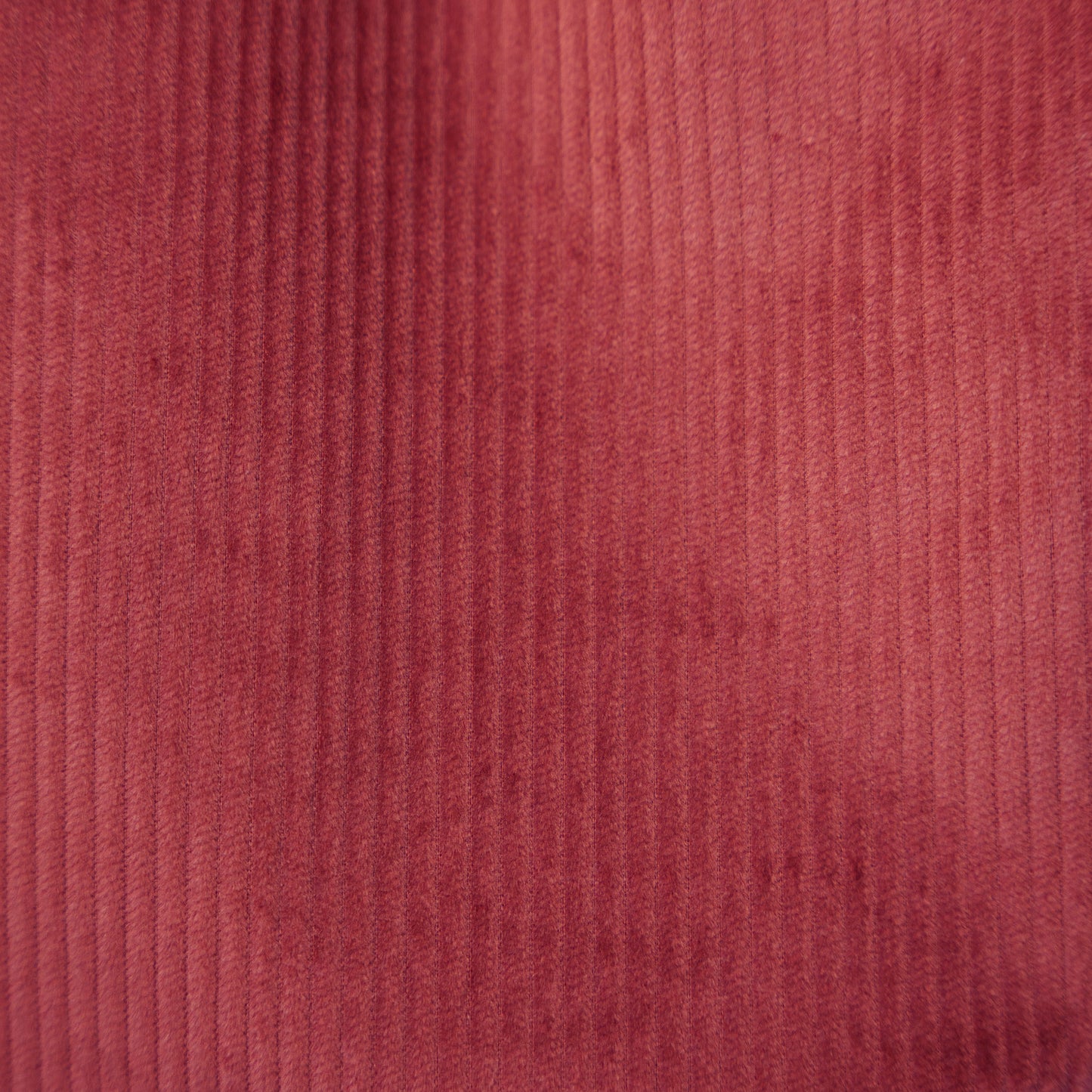 Pantalone Jeans Bordeaux